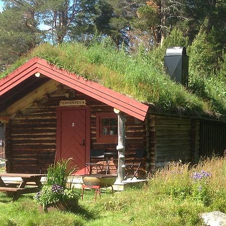 Batsto Camping Elga Extérieur photo